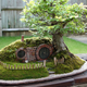Illustration for article titled A Baggins Bonsai Fit For a Pocket-Sized Hobbit